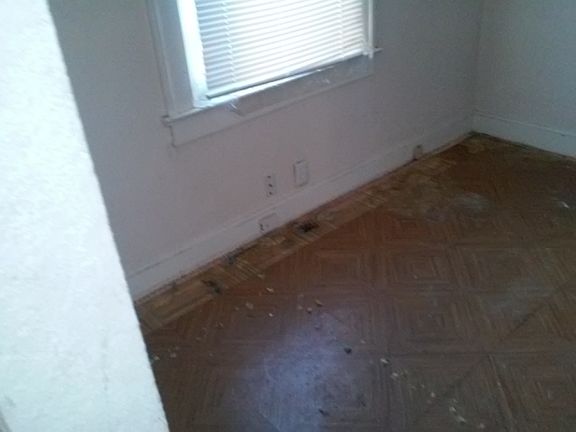 4th image of 3408 E 45th Ter