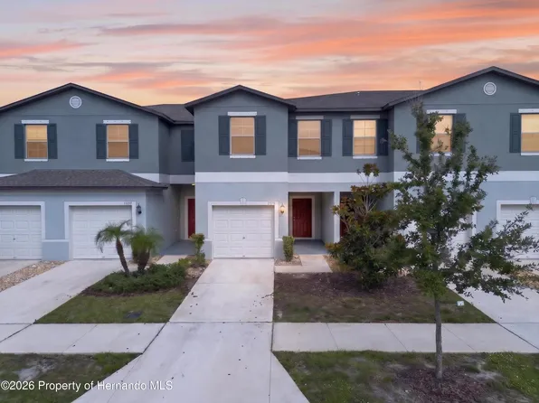 11855 Dumaine Valley Rd, Riverview, FL 33579