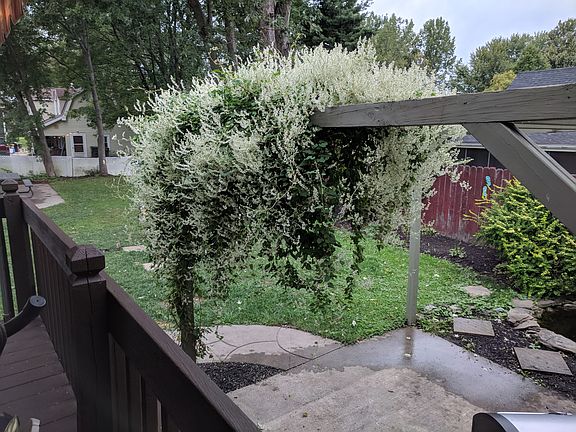4th image of 486 Old Falls Blvd