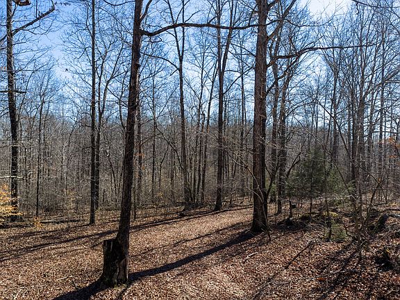 4th image of 0 Wildcat Rd