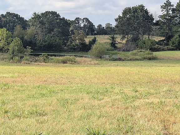 catfish pond