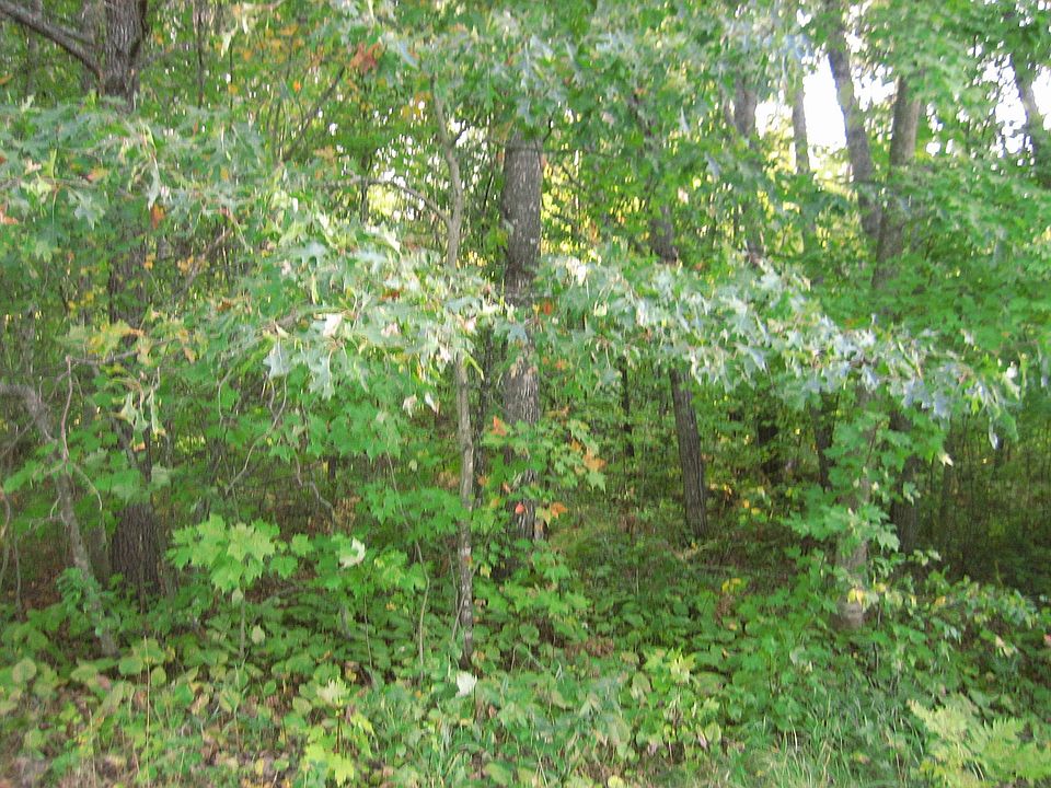 1st image of 3245 Nesslewood Dr