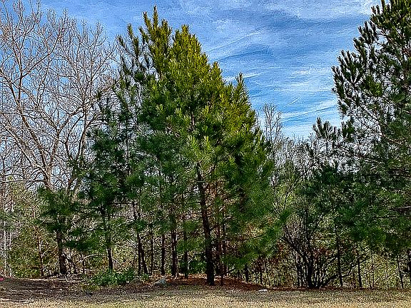 5th image of 4887 Basingstoke Dr Lot 0