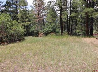 24 Heather Pl, Pagosa Springs, CO 81147