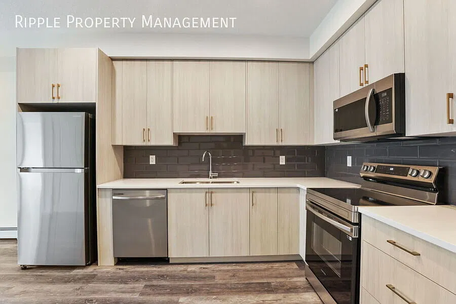 Modern 2 Beds, 2 Baths Apartment/Condo | 2 Pets Allowed. 20lbs Max — Photo 2