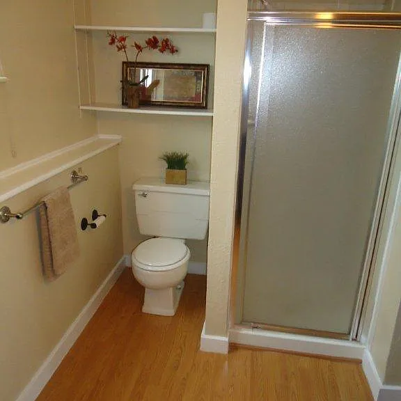 Lower Level Bathroom