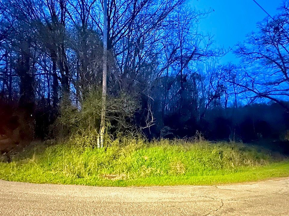 0 Cherry St, Vina, AL 35593 MLS 11262030 Zillow