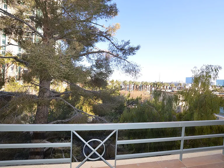270 E Flamingo Rd #312 — Photo 25