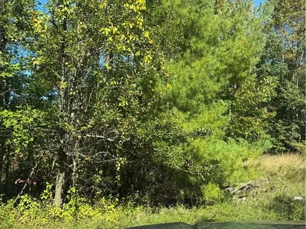 Aubrey Thomas Ln Lot 22-24, Dobson, NC 27017