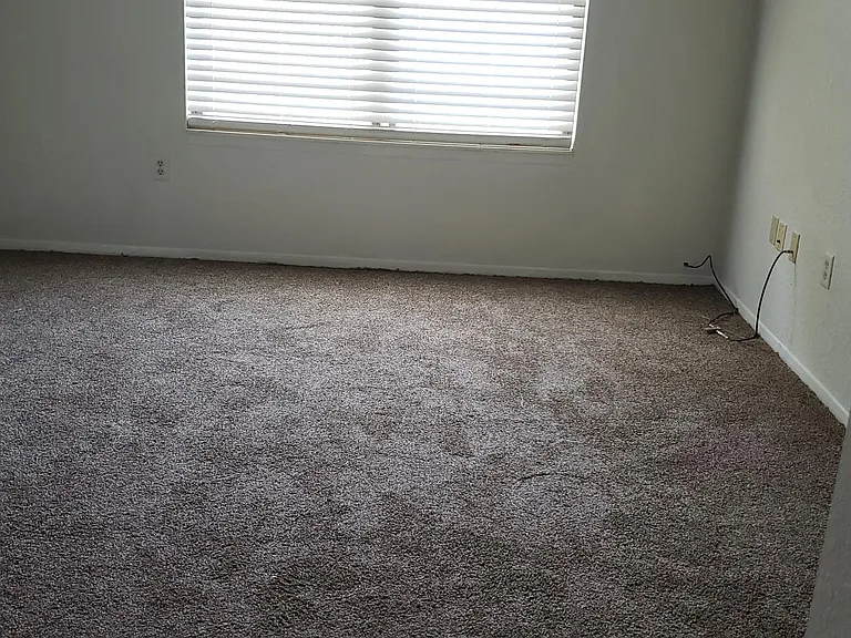 24936 Auburn Ln — Photo 6