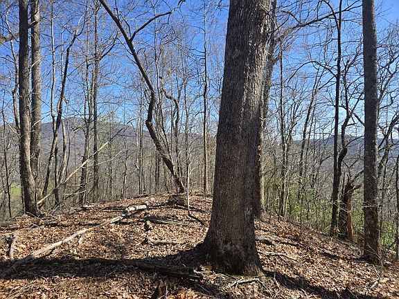 3rd image of 0 Brasstown Rd