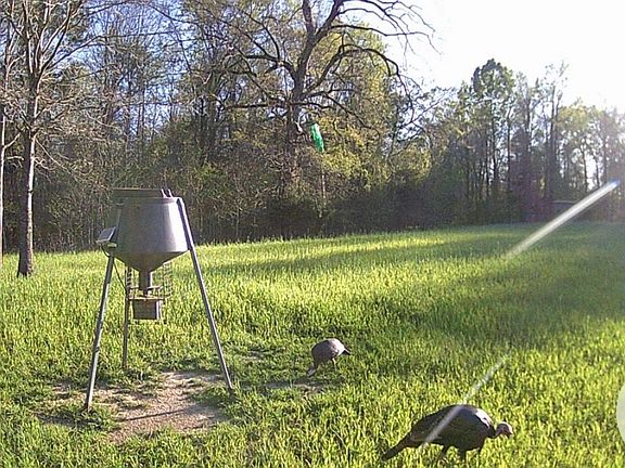 4th image of 2521 Askew Rd