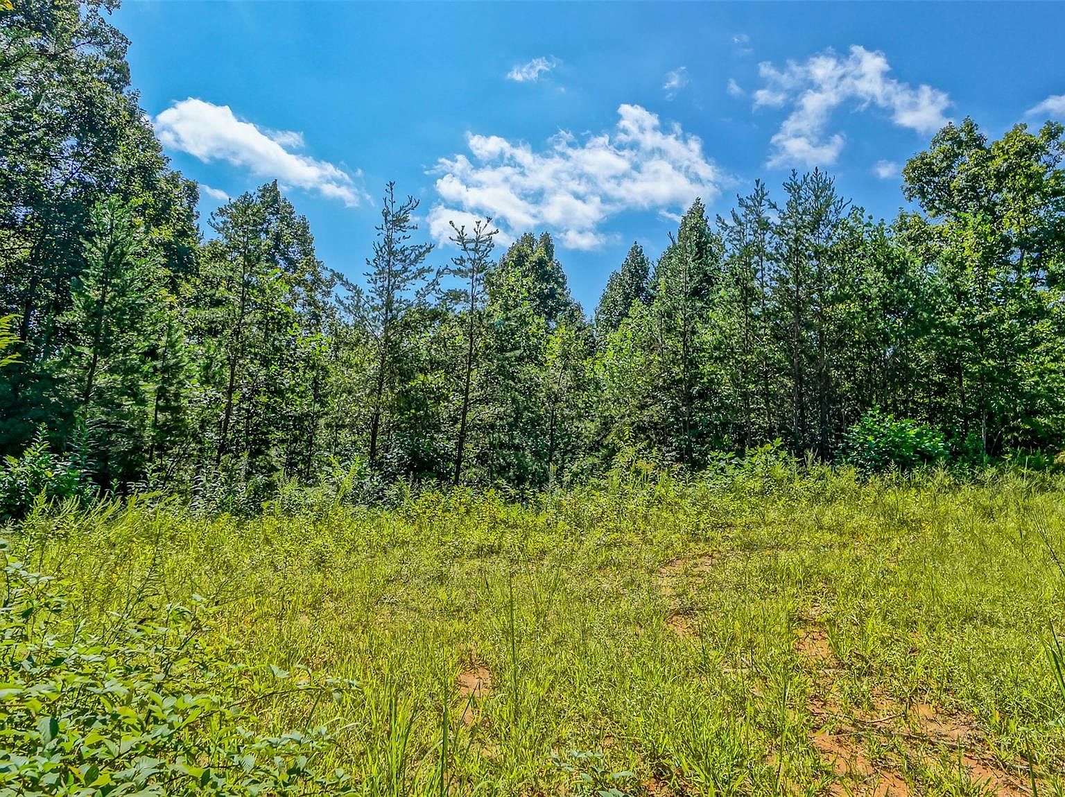 11.425 Thankful Church Rd, Boomer, NC 28606 MLS 4065754 Zillow