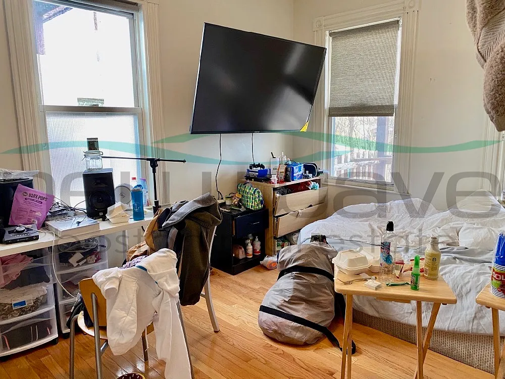 3 bed, 1150 sqft, $4,300 — Photo 3