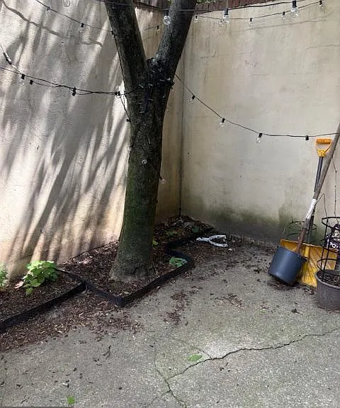 2501 Christian St #106 — Photo 5