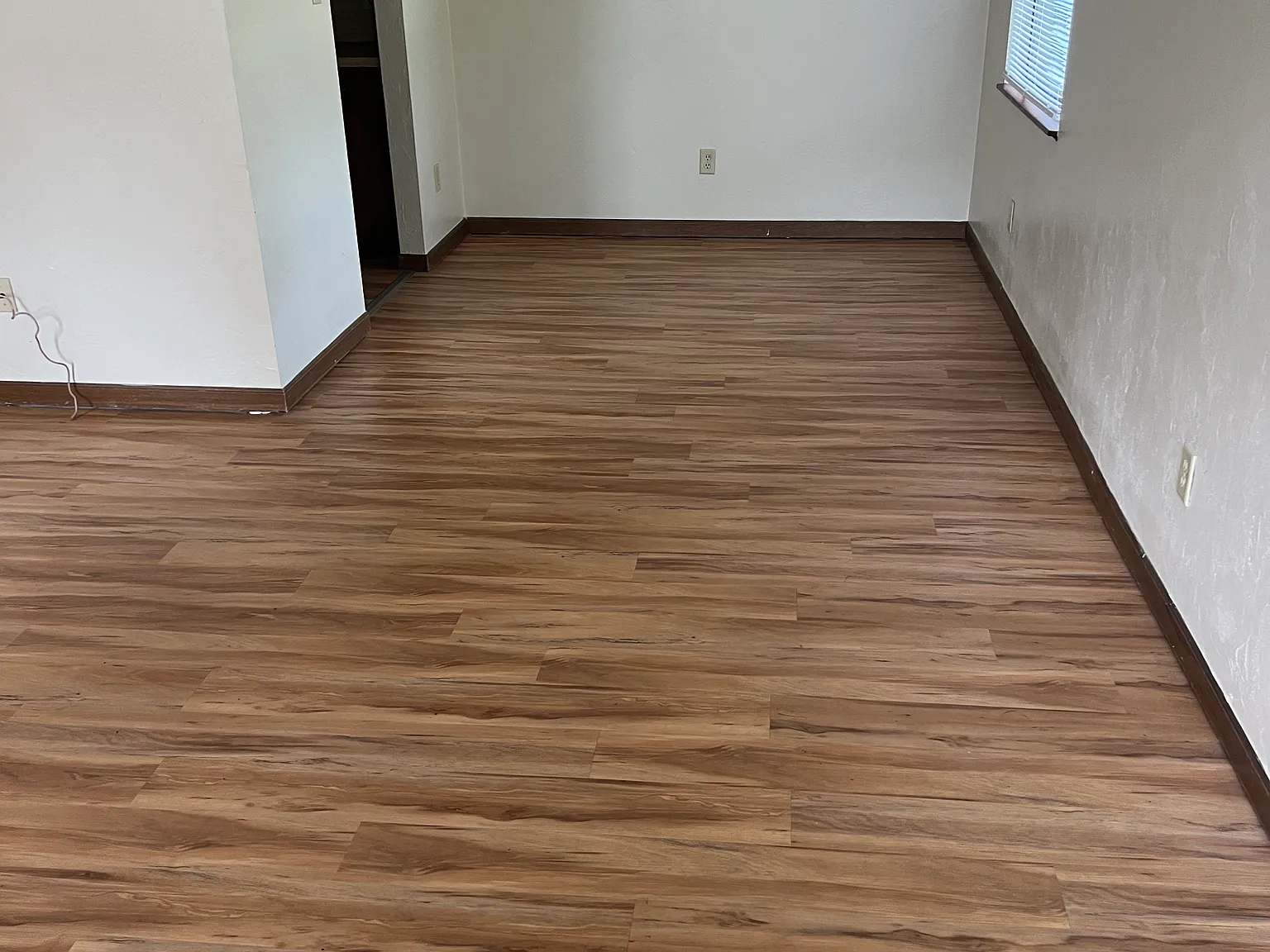 141 Locke St — Photo 3