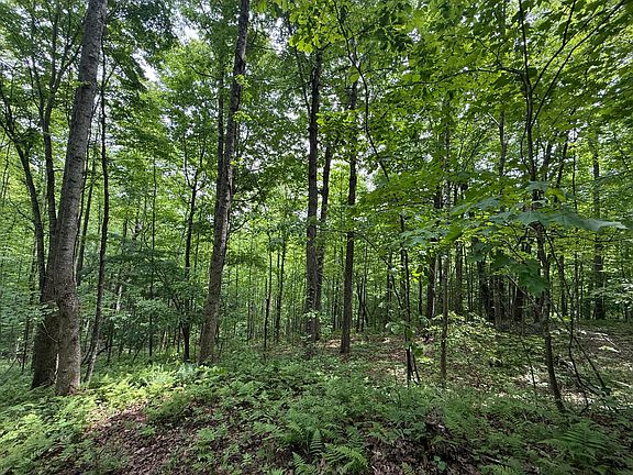 5th image of 166 Ashland Camp Loop