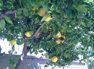 14402 Janice St, Westminster, CA 92683