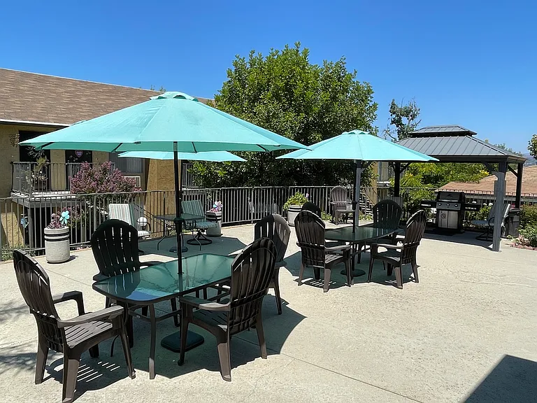 Patio and BBQ Area