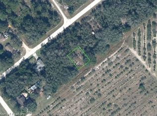 2249 N Lanier Blvd, Avon Park, FL 33825