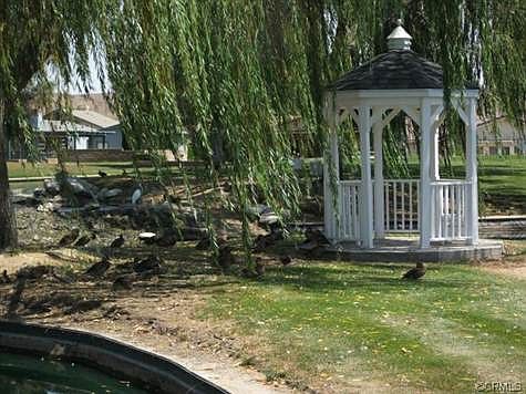 View from the back yard