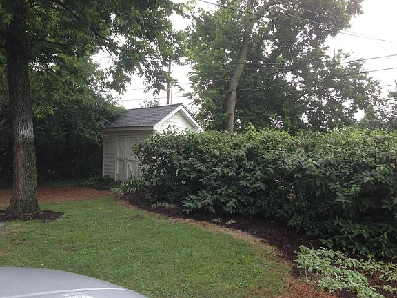 Another view of shed and backyard