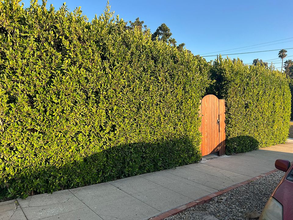 1st image of 1616 Micheltorena St
