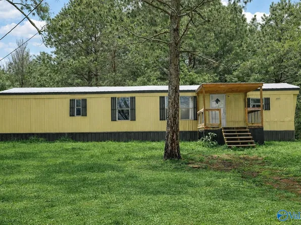 166 Blue Bend Rd, Albertville, AL 35951