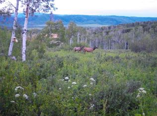 55966 Hannahs Way, Clark, CO 80428