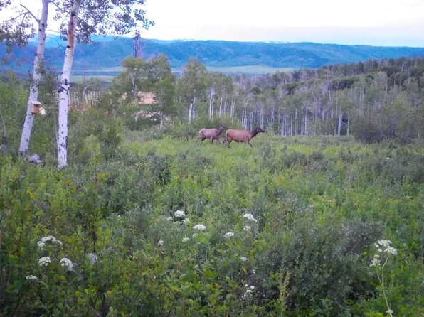 55966 Hannahs Way, Clark, CO 80428