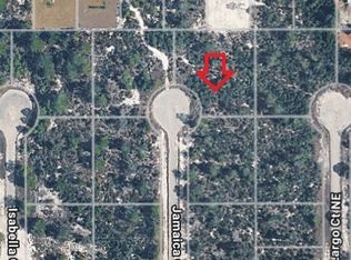 117 Jamaica Ct NE, Lake Placid, FL 33852