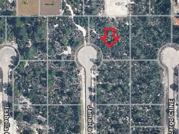 117 Jamaica Ct NE, Lake Placid, FL 33852