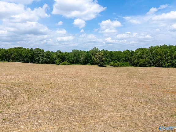 3rd image of 42.5 South Rd