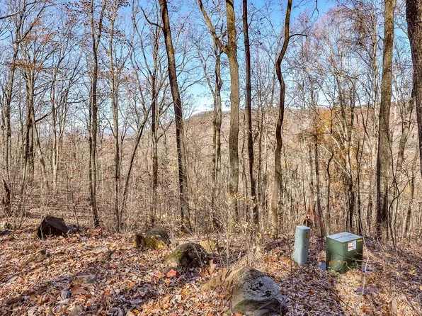 LOT 9 The Hemlocks Lot 9, Ellijay, GA 30536