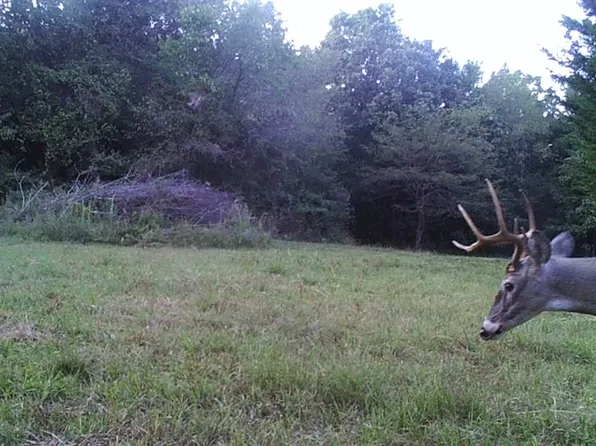 6442 N 428th, Pryor, OK 74361