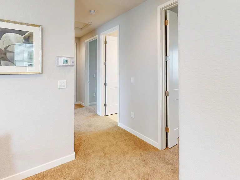 1582 Abundance Way — Photo 16