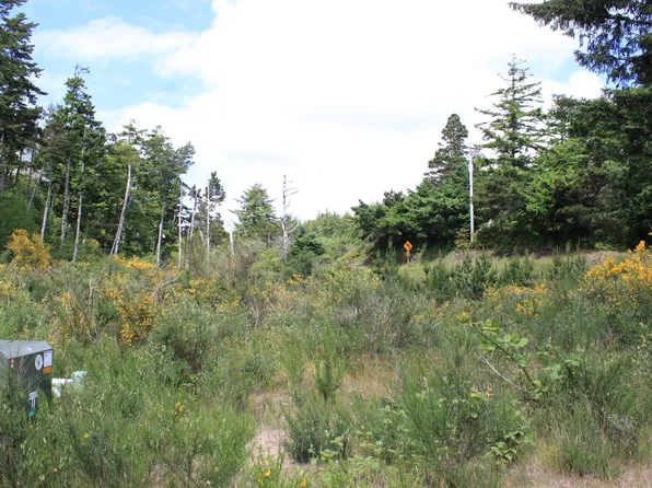 Breezee Way, Oceanside, OR 97134