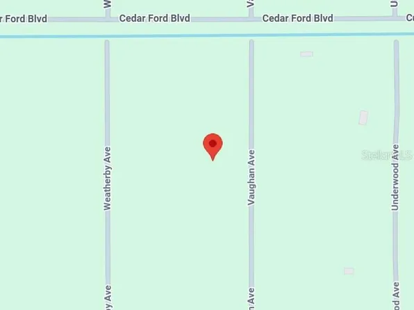 10435 Vaughan Ave, Hastings, FL 32145