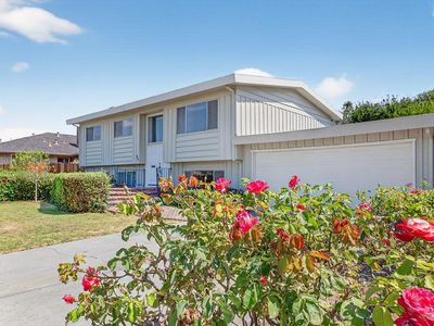 254 Rogers Ave, Watsonville, CA, 95076