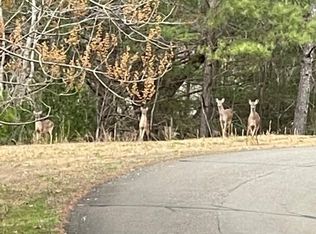 33 Buck Creek Rd, Ellijay, GA 30540