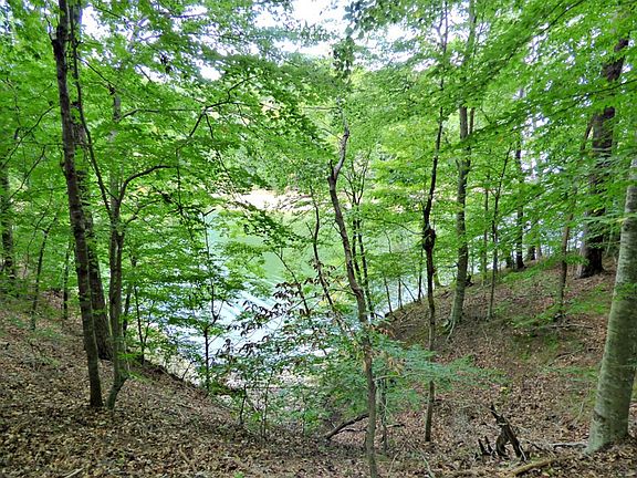 5th image of 0 Woods Ridge Rd