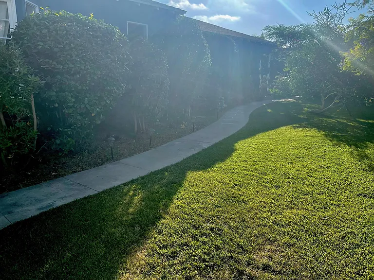 Beautiful shared, large front yard.