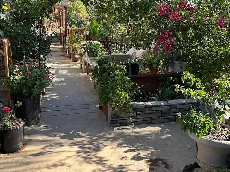 Cougar Pl — Photo 10