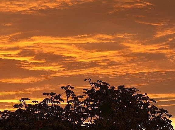 SUNRISE 