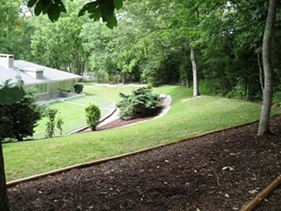 Back yard next to forest