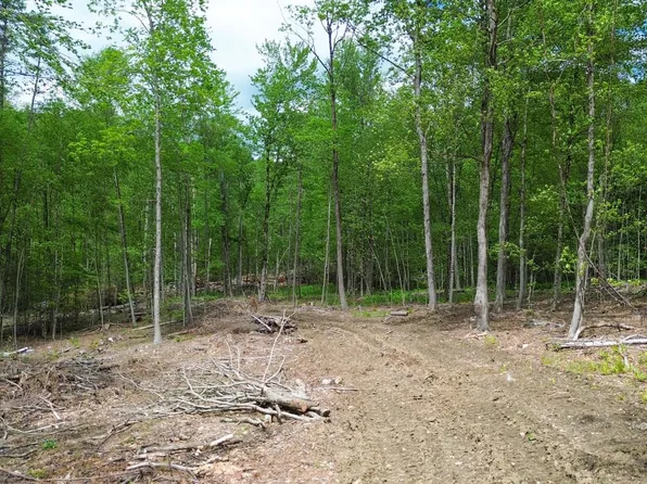 Lot 26-3 Plain Road, Hinsdale, NH 03451