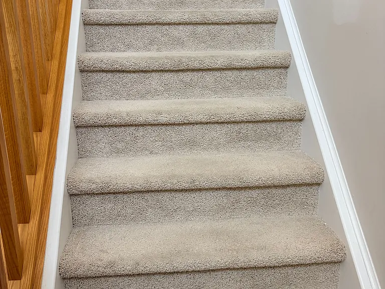 15 Summerfield Dr — Photo 10