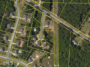 12899 Wyatt Cir, Hampton, GA 30228