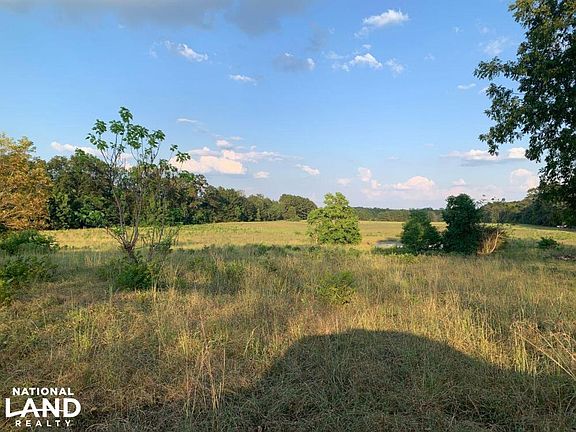 Eastern View From Near West Property Boundary on Clark County, MS (Quitman) +/-54.6 Acre Property