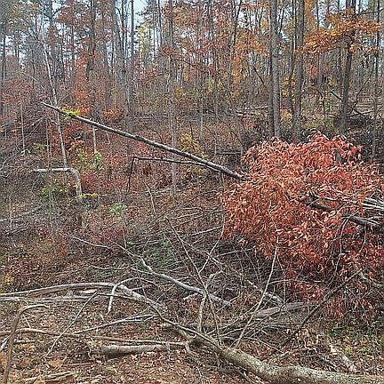 5th image of 50664A Bald Knob Stiversville Rd